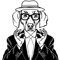 Pointer logo